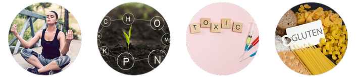 1e197b 8aa89bf651614e8aadc0f895a56052ecmv2