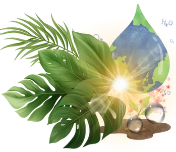 Home 2 8e4b88 c271c8297754493f94214a0e838813f9mv2 e1718026892949