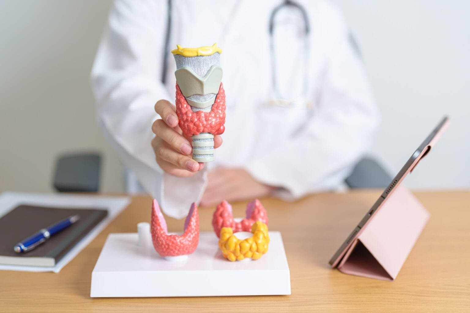 A Comprehensive Guide to Managing Hashimoto’s with Functional Medicine