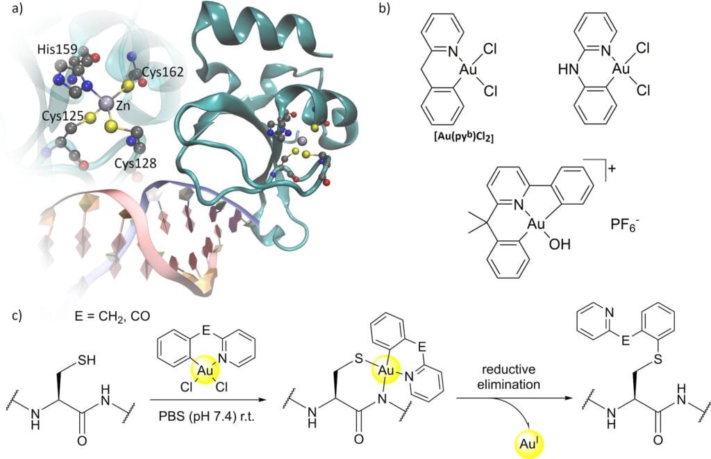 gold complexes image 2