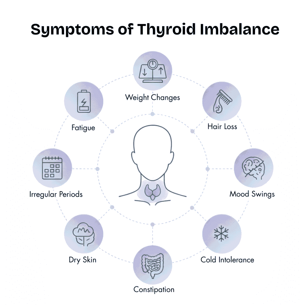 Thyroid Function : Thyroid Imbalance symptoms